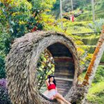 bali-swing-alas-harum