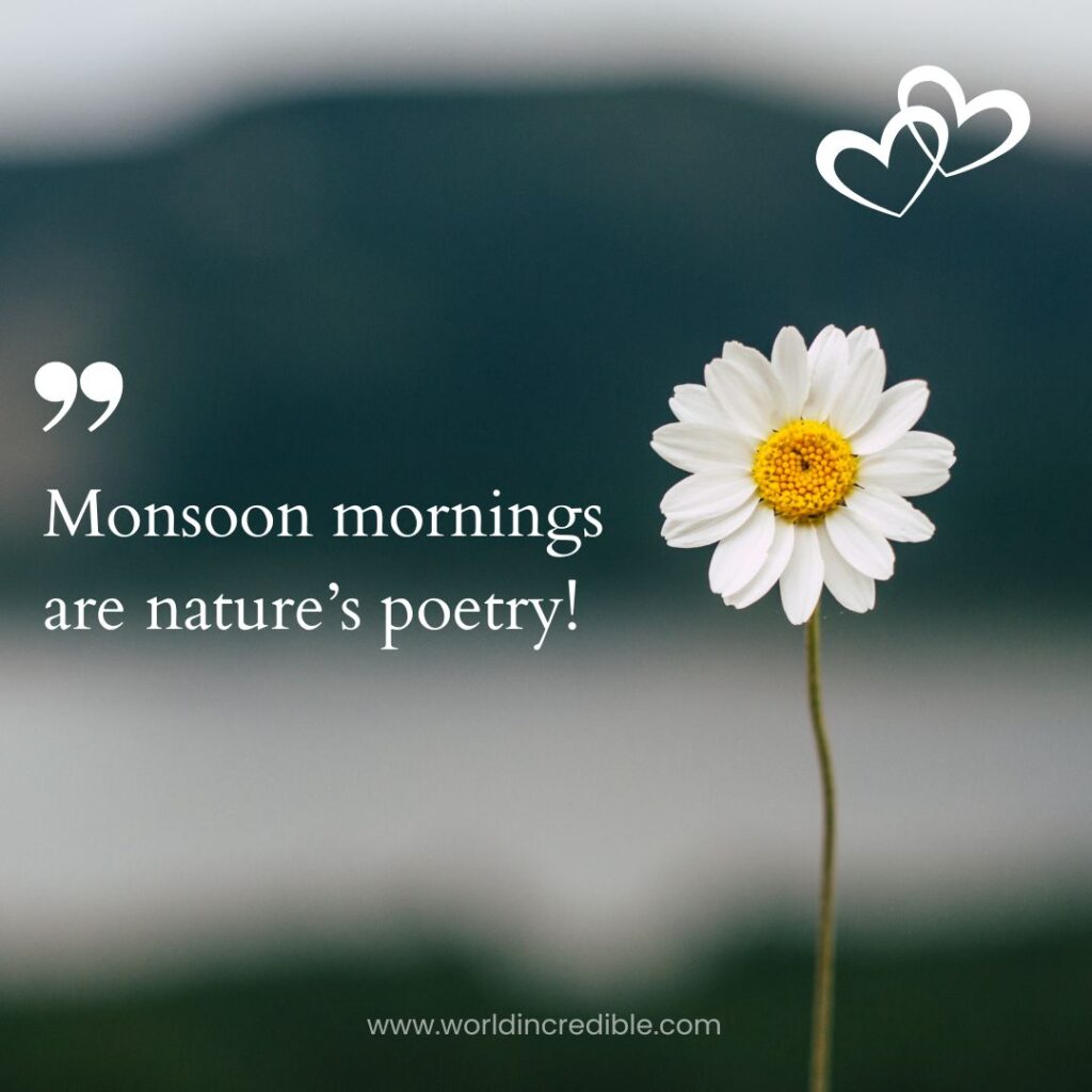 download-monsoon-quotes