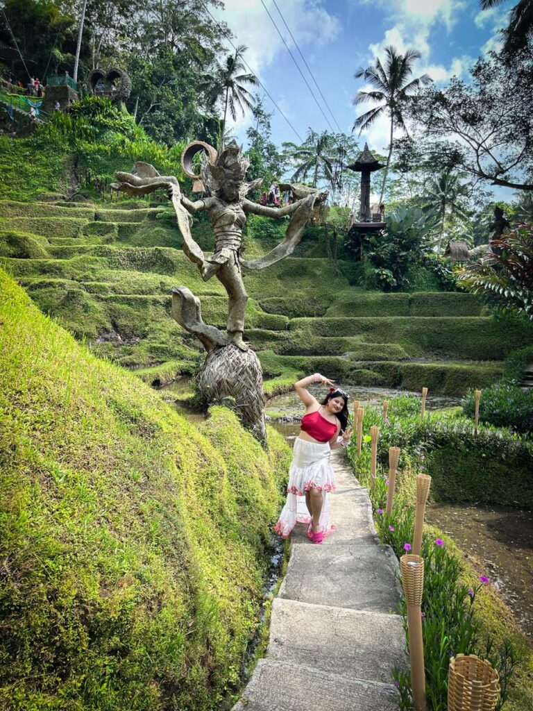 rice-terraces