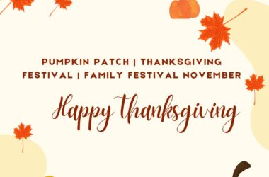 pumpkin-patch-thanksgiving