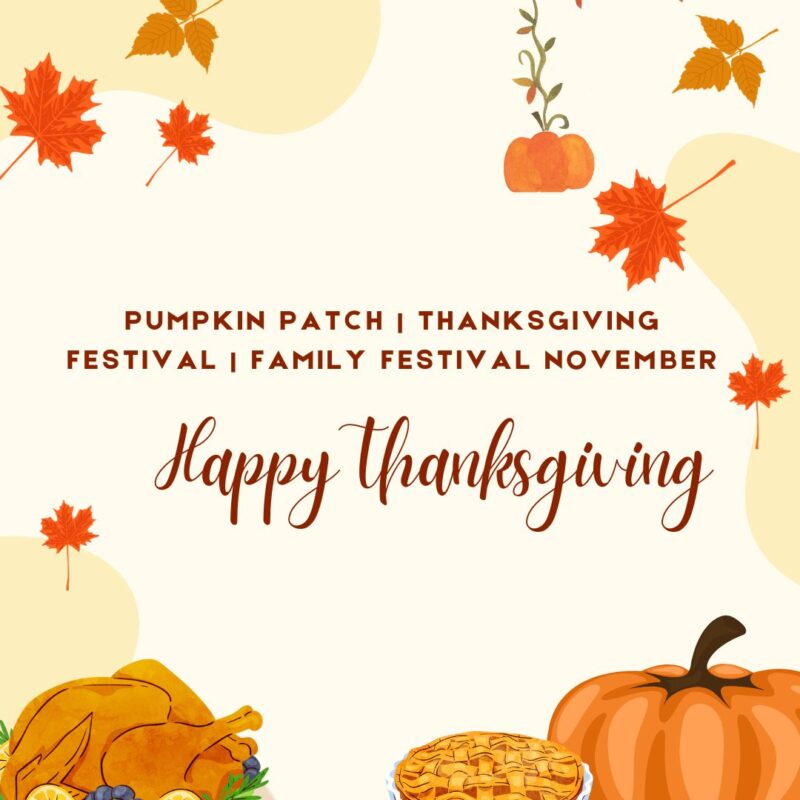 pumpkin-patch-thanksgiving