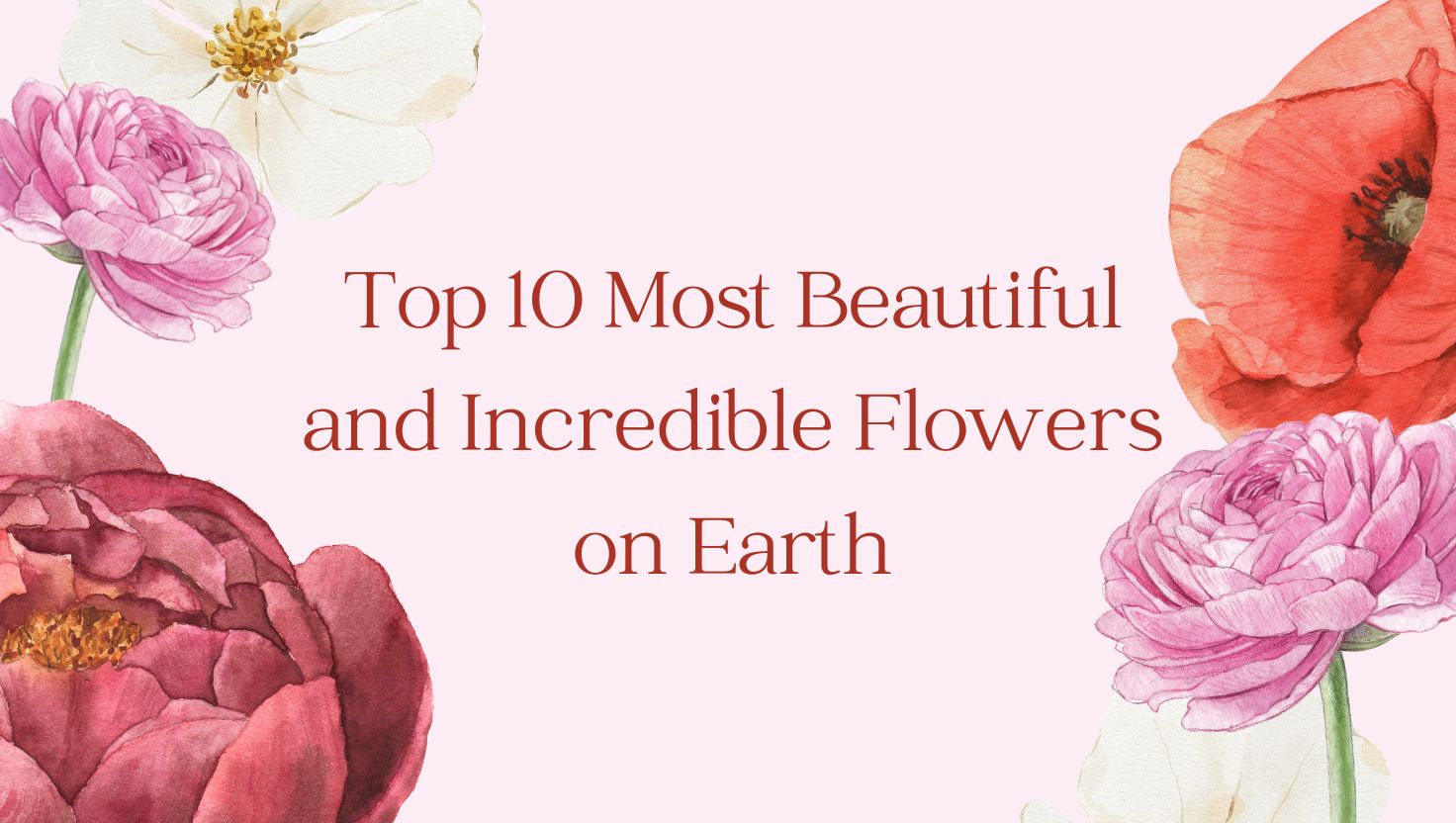 incredible-flower-banner-online