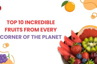 fruits-banner-image