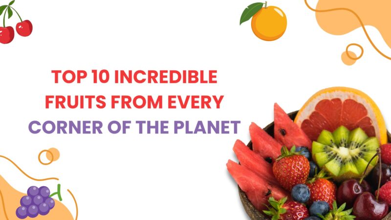fruits-banner-image