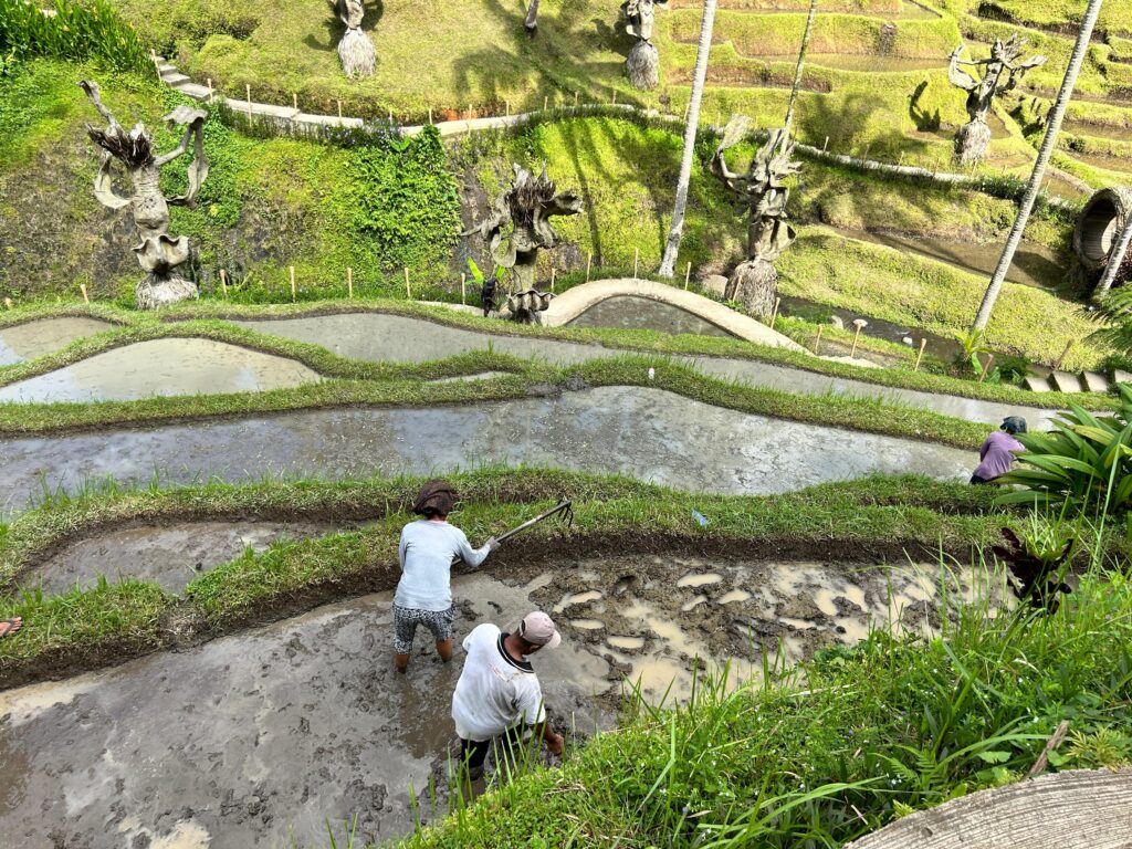 World Hertiage By UNESCO Bali