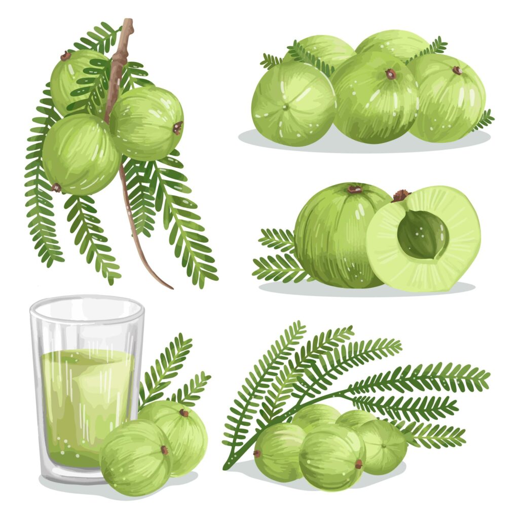 amla