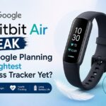 Google Fitbit Air